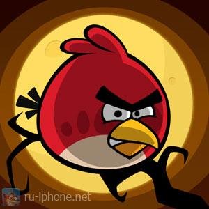 Angry Brids Season Helloween test