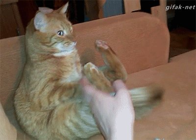 9a94c942ed1061665208090a0c05afca