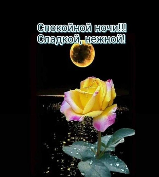 file_94949382