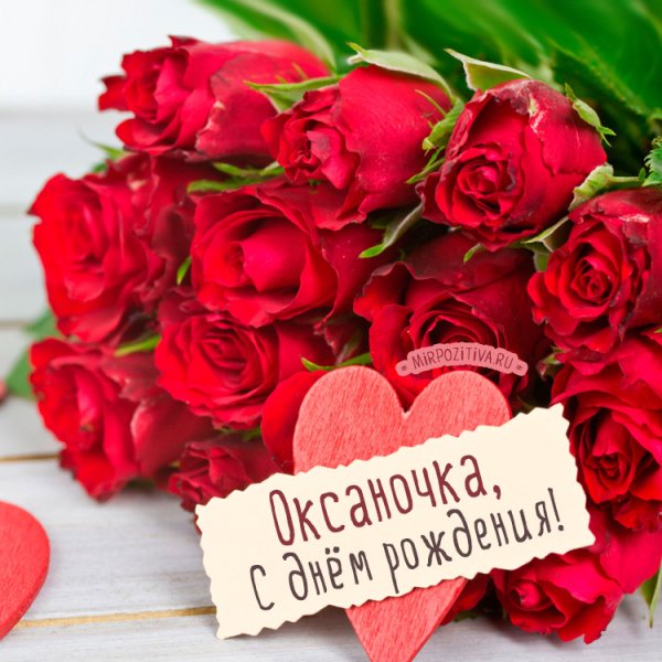 IMG 20190206 494163