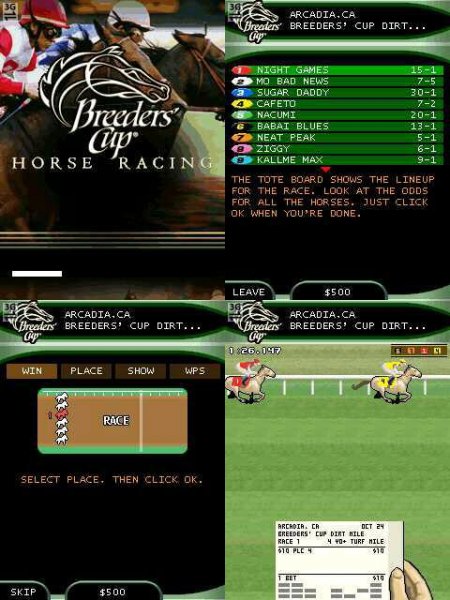 Breeders Cup Casino Horse Racing 240х320
