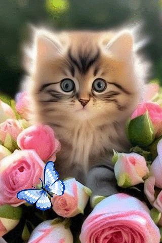 file_96567487