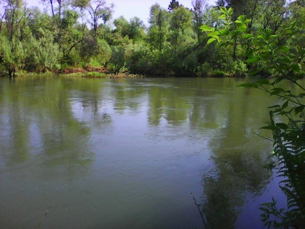 Река Таштып