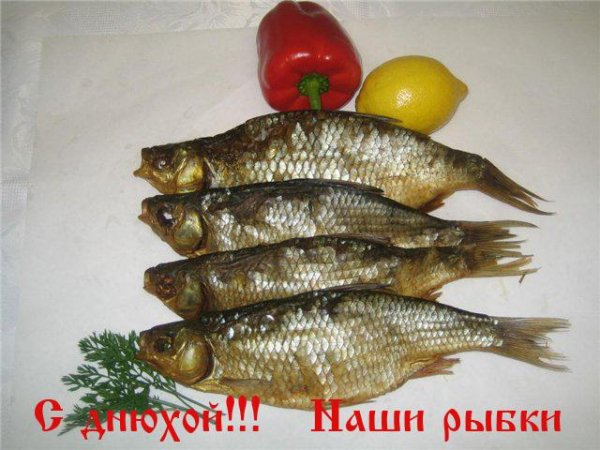 Онищенко-Соление вяление рыбы