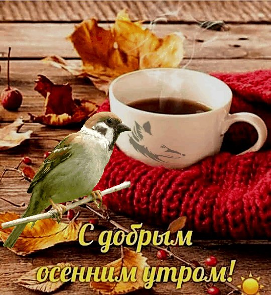 с добрым осенним утром