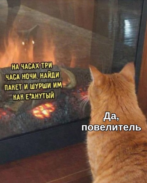 FB IMG 1775593397510