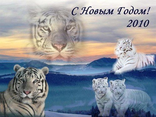 С Новым годом. 126193709751