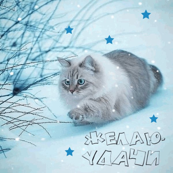 9f719f3128f760ce3ba0bde50e20650e