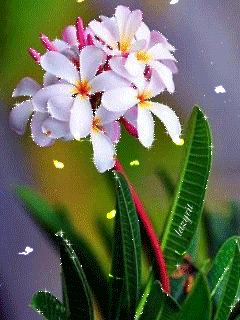 file_46993419