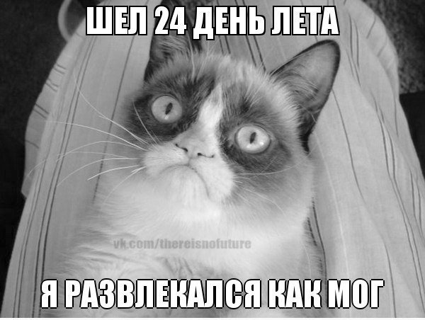 Кэтэ50