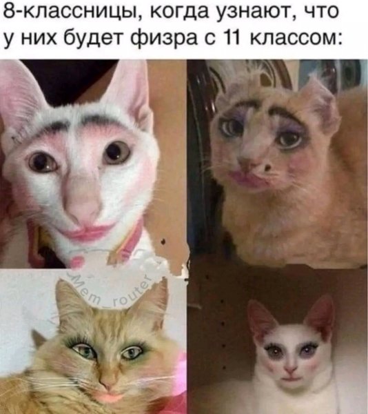 file_102197469