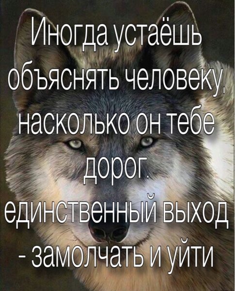 Замолчать и уйти