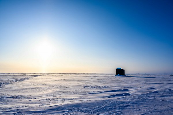 23-8467437-toledo-more-boforta