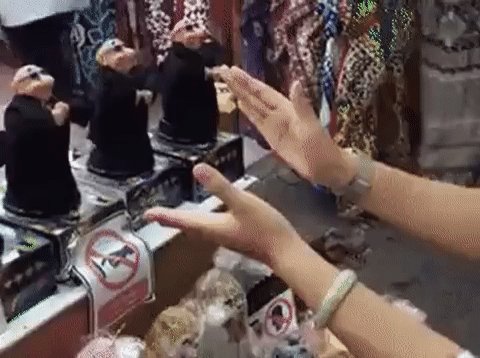 gif 1485330518