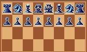 Chess Champion