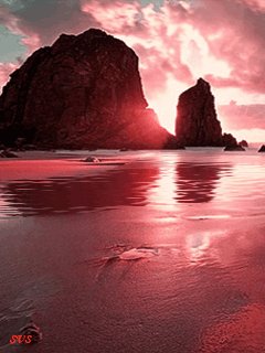 file_9338461