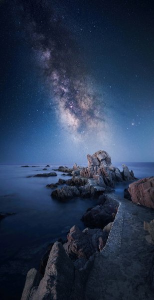 file_96407835