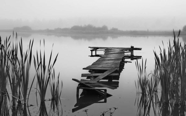 file_93780026