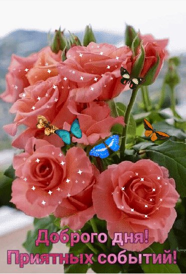 доброго дня