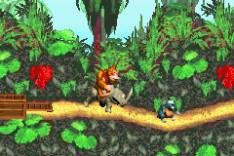 Donkey Kong Country
