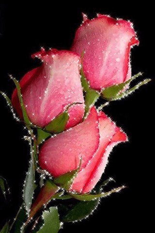 file_67942854