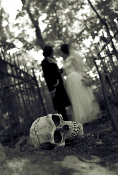 file_97087894
