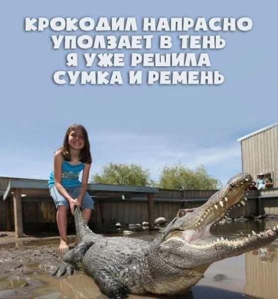 FB IMG 1777918224970