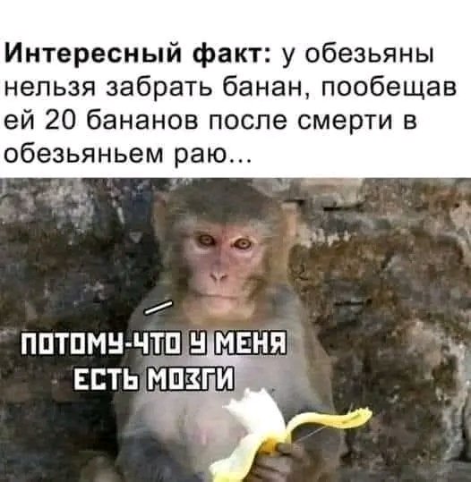 file_103176528