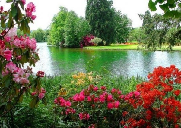 открытка в центре картинки находится