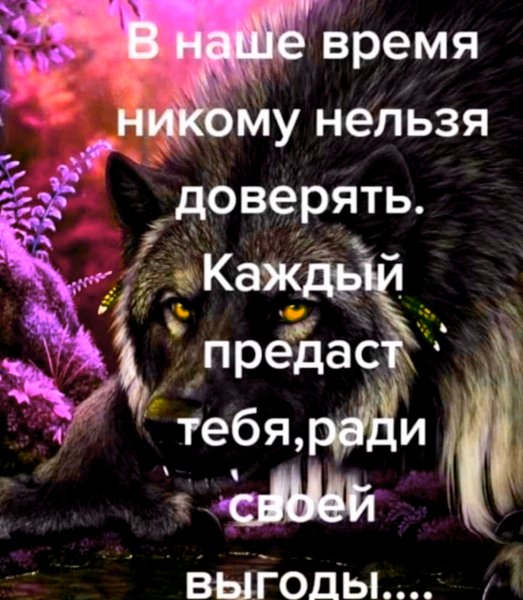 file_101734239