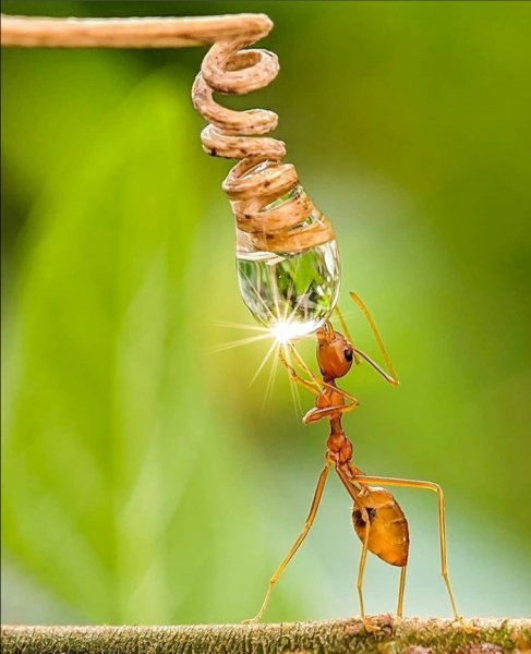 Screenshot 2021-07-16-18-53-23