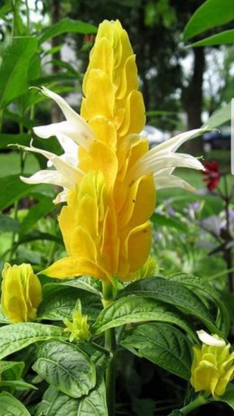 2f76
