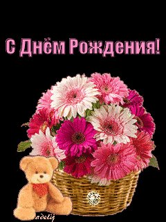 S Dnem Rozhdenia84240x320