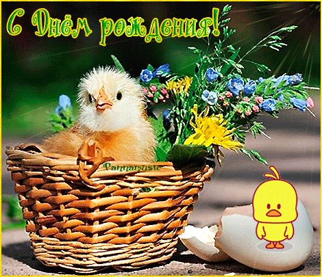 file_45751389