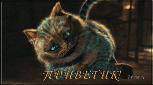 привет 143756 0