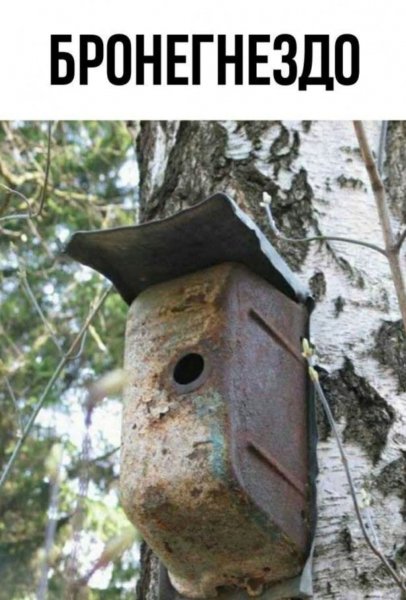 FB IMG 1776447323487