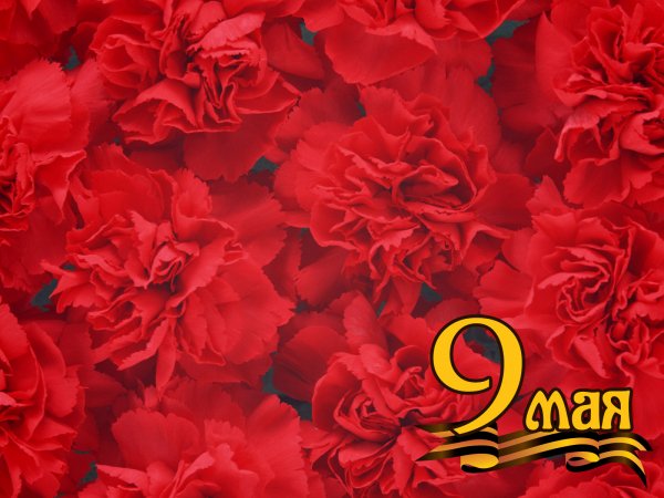 9 мая обои ПК