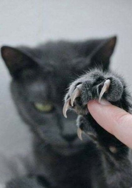 b73bbb6a44f261a0fdfc3b710c525