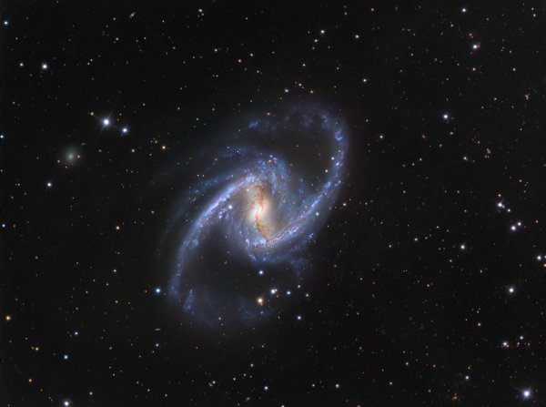 NGC1365