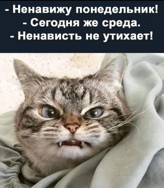 3a70365976854ae6085efb487b73cfc0