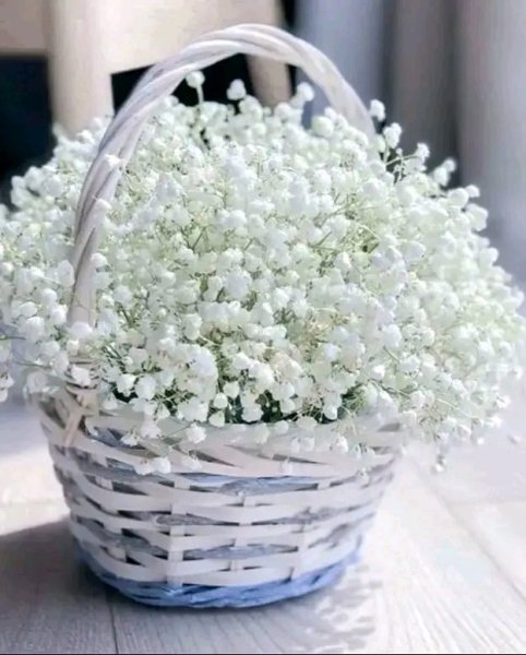 file_95715450