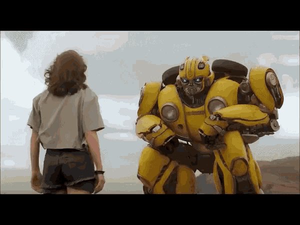 Bumblebee-transformer