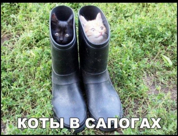 FB IMG 1776446995479