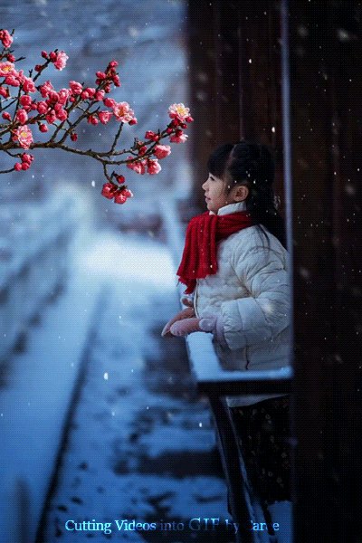 file_91931043