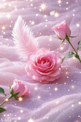 file_98841010