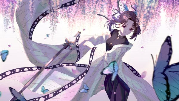 shinobu kochou anime 4k