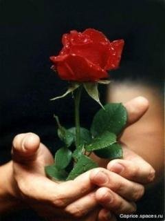 For you 6th sN