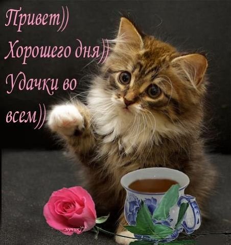 привет!!!хорошего дня