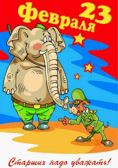 23 февраля-15