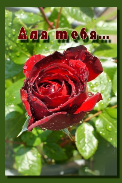 Для тебя